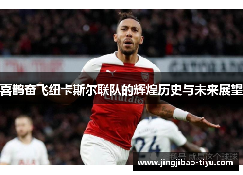 喜鹊奋飞纽卡斯尔联队的辉煌历史与未来展望