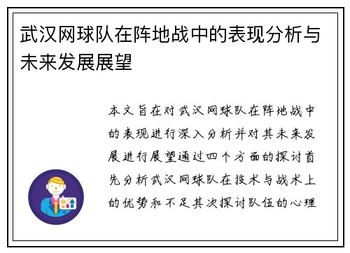 武汉网球队在阵地战中的表现分析与未来发展展望